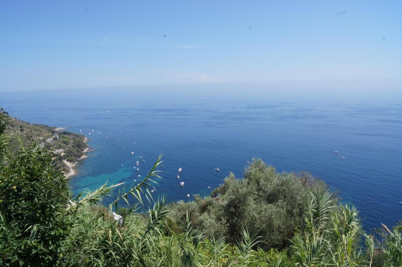 Total Sea View Grimaldi Apartment